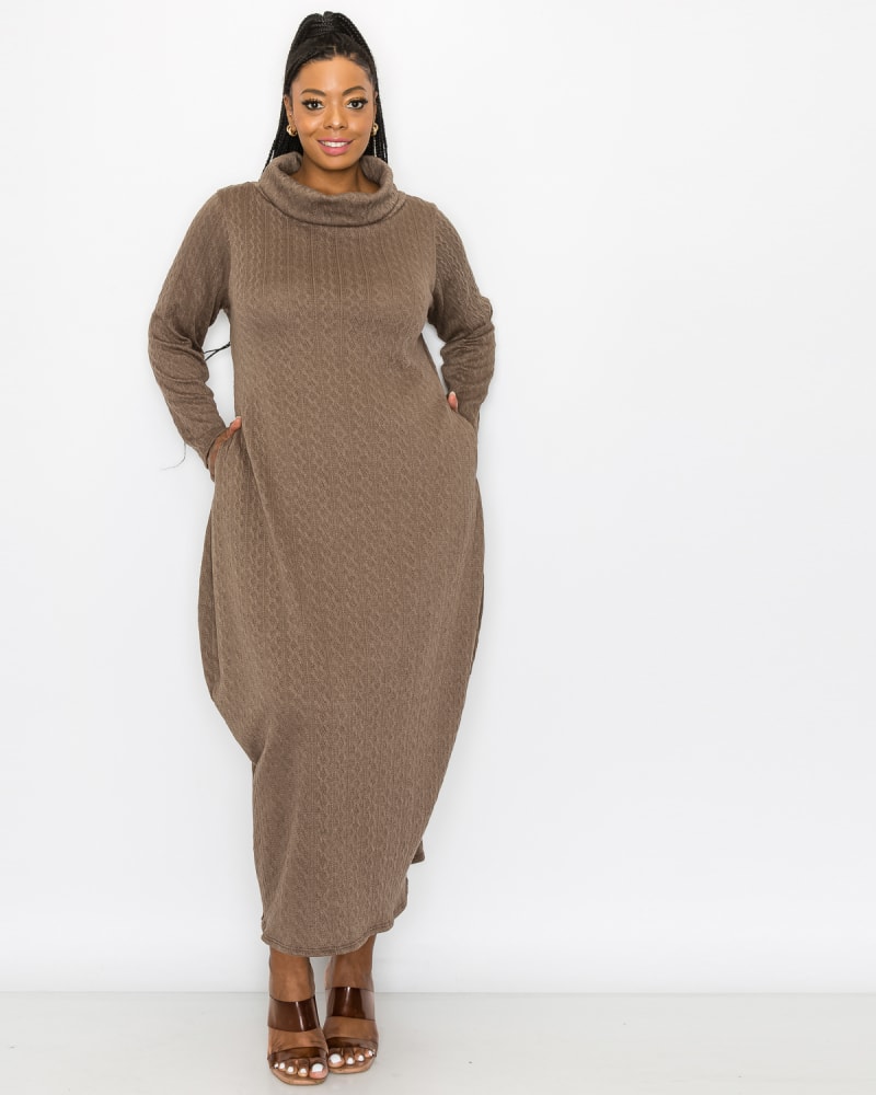 Lana Cowl Turtle Neck Pocket Sweater Dress Brown